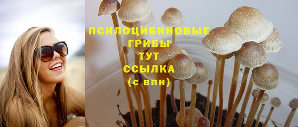 амф Магас