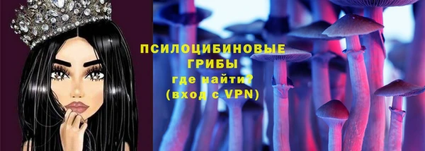 прущие грибы Майский