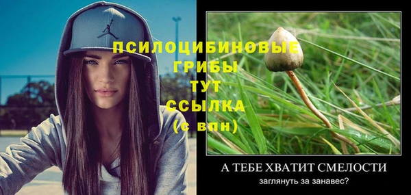 ГАЛЛЮЦИНОГЕННЫЕ ГРИБЫ Коряжма