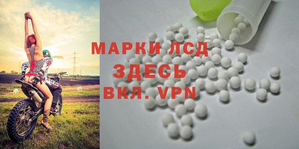 прущие грибы Майский
