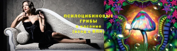 jwh Калининец
