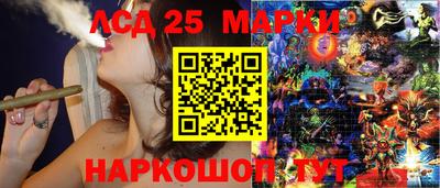 крисы Гатчина