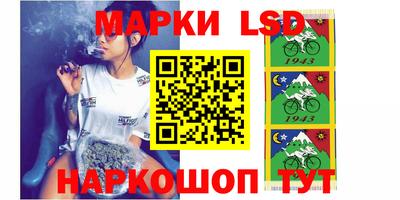 крисы Гатчина