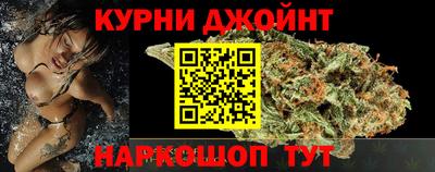 крисы Гатчина