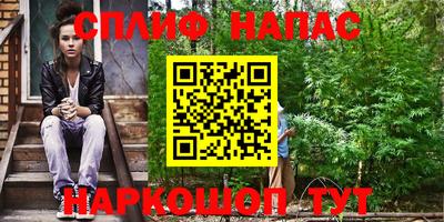 крисы Гатчина