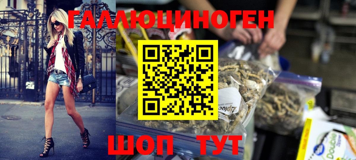 Галлюциногенные грибы Psilocybe Александров