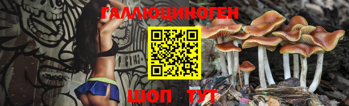 Псилоцибиновые грибы ЛСД  Александров  купить наркотики цена  Галлюциногенные грибы прущие грибы 