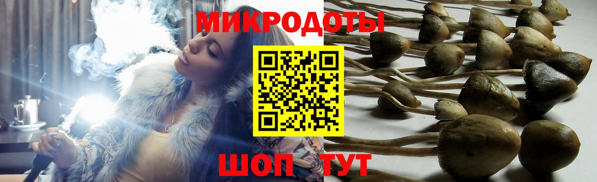 Псилоцибиновые грибы Cubensis  Вход с VPN  Александров  Галлюциногенные грибы прущие грибы 