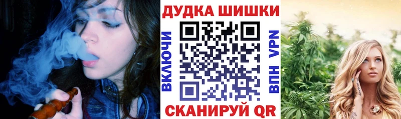 kraken онион  Александров  Бошки марихуана план  магазин   
